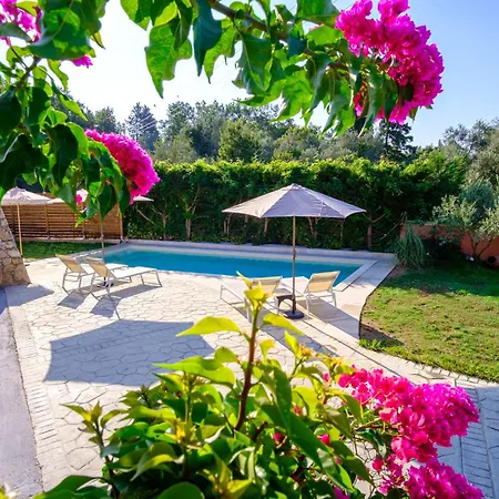 Paliabelo * Skriperón