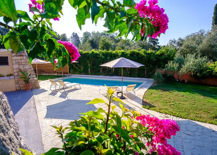 Paliabelo * Skriperon